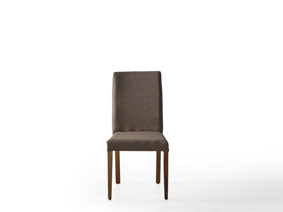 Hazal Modern Sandalye