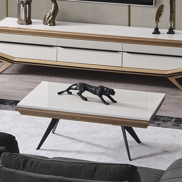 Elize Modern Orta Sehpa