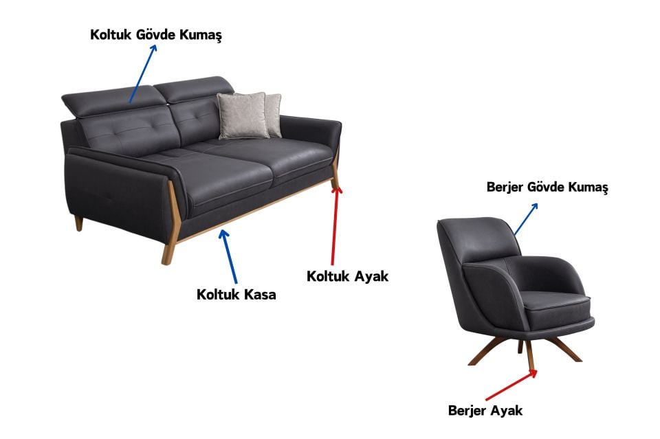 Lion Modern Koltuk Takımı