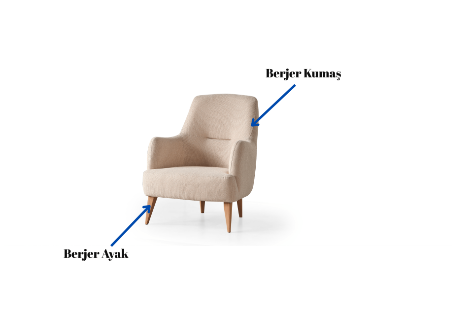 Zara İskandivan Berjer Berjer